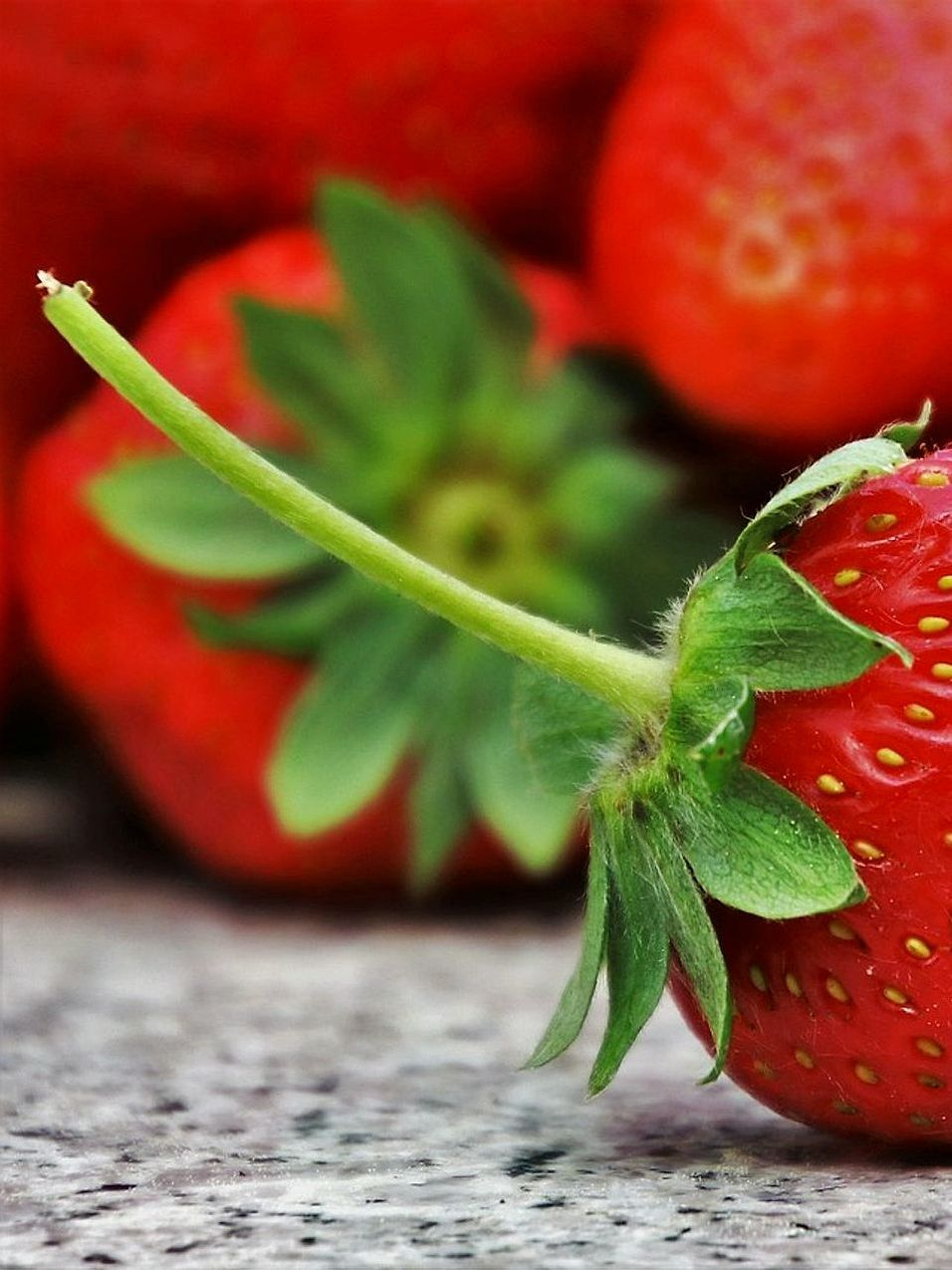 Taze Meyve Smoothie Barı